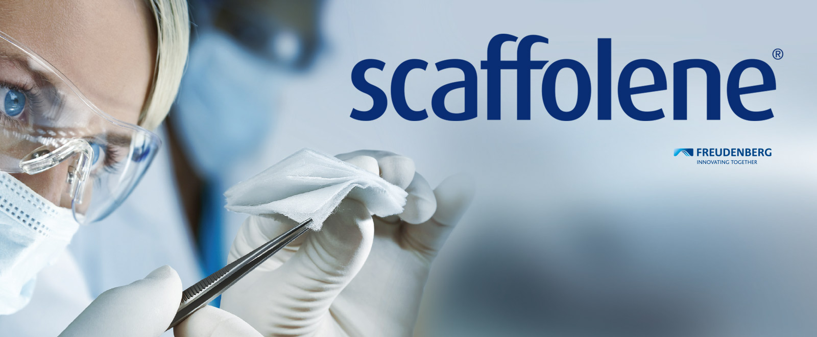 Corporate Design scaffolene